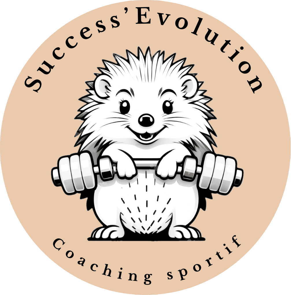 Logo Success Evolution (couleur)